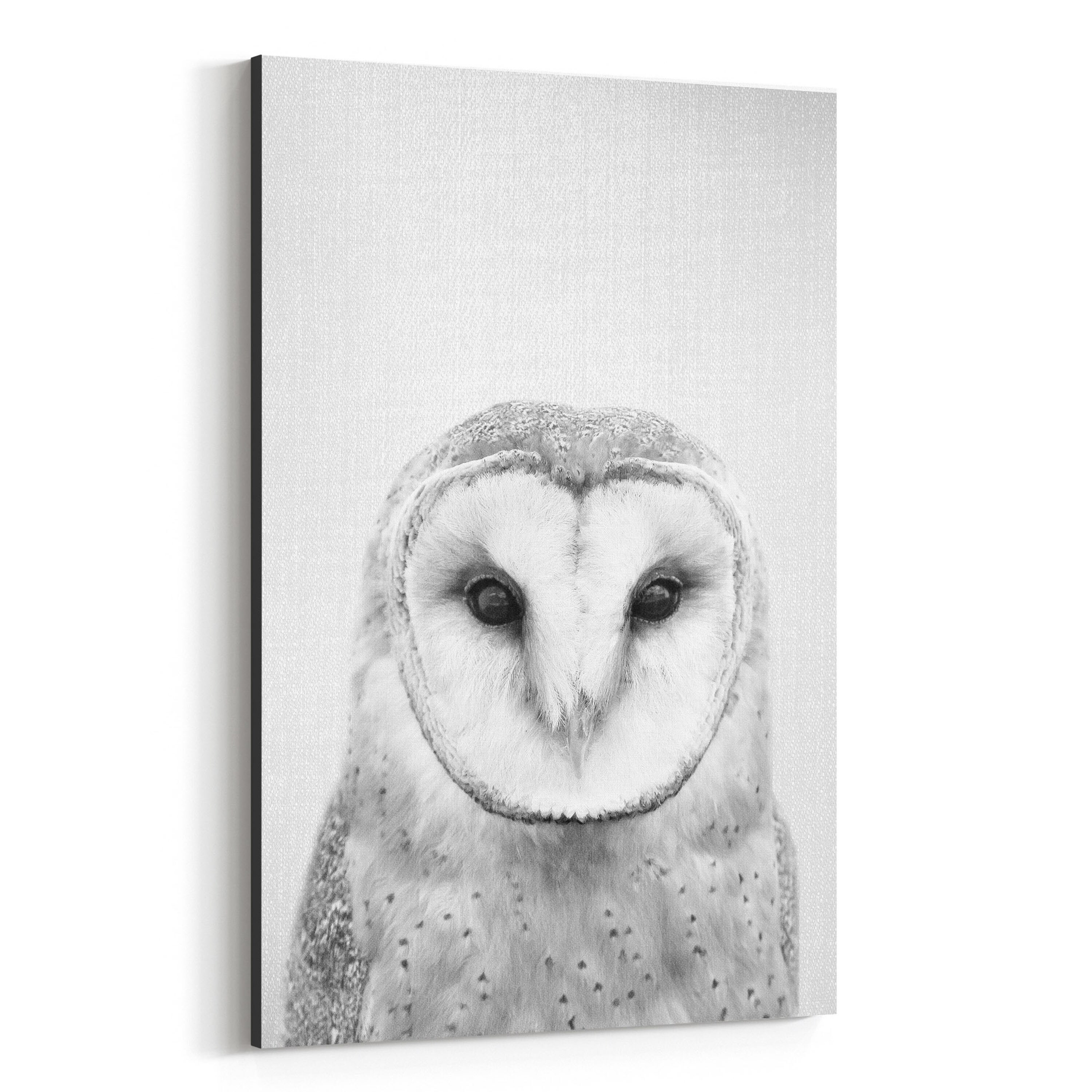 Shop Noir Gallery Cute Owl Peeking Nursery Animal Canvas Wall Art