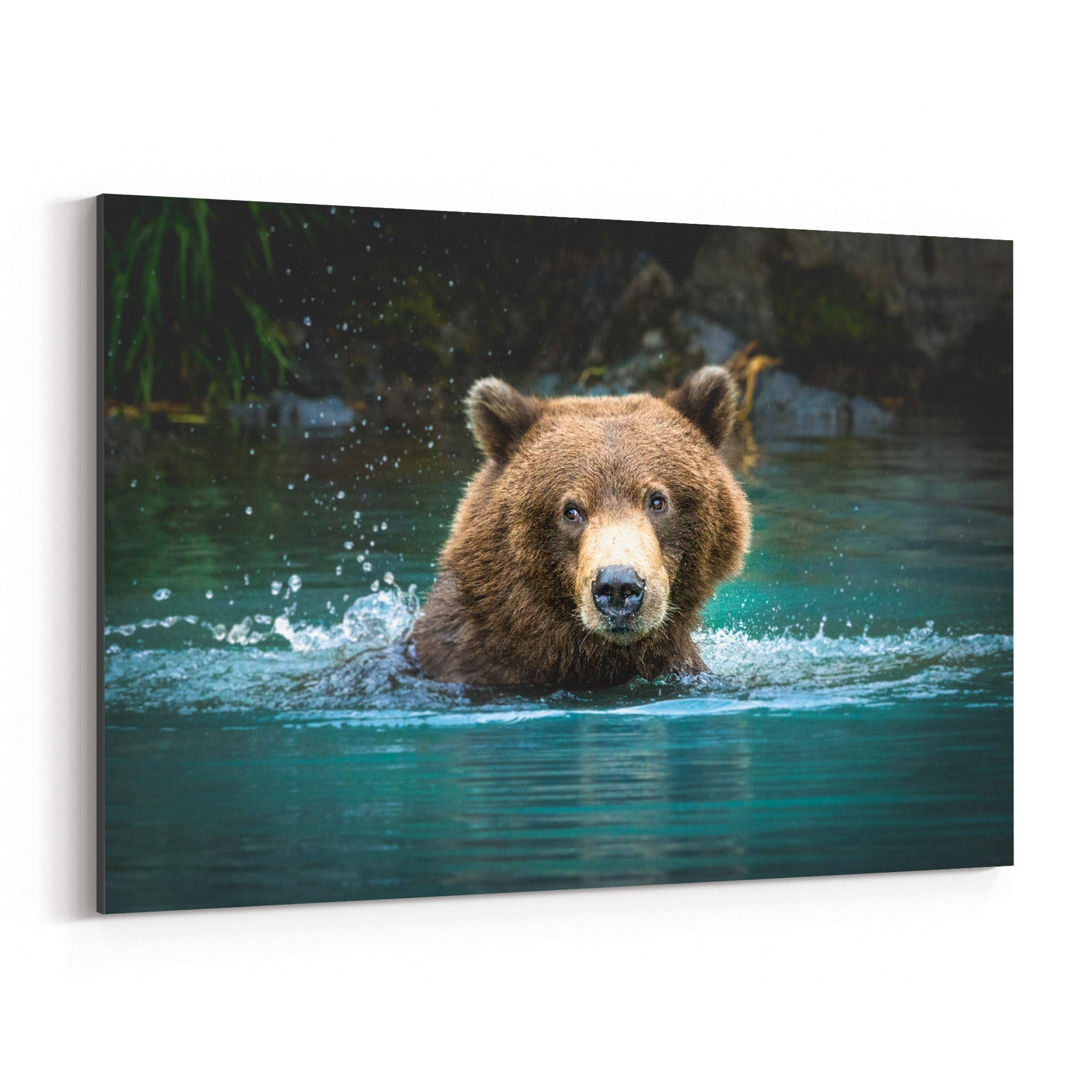 Shop Noir Gallery Grizzly Bear Wildlife Alaska Canvas Wall Art Print Overstock 27434545