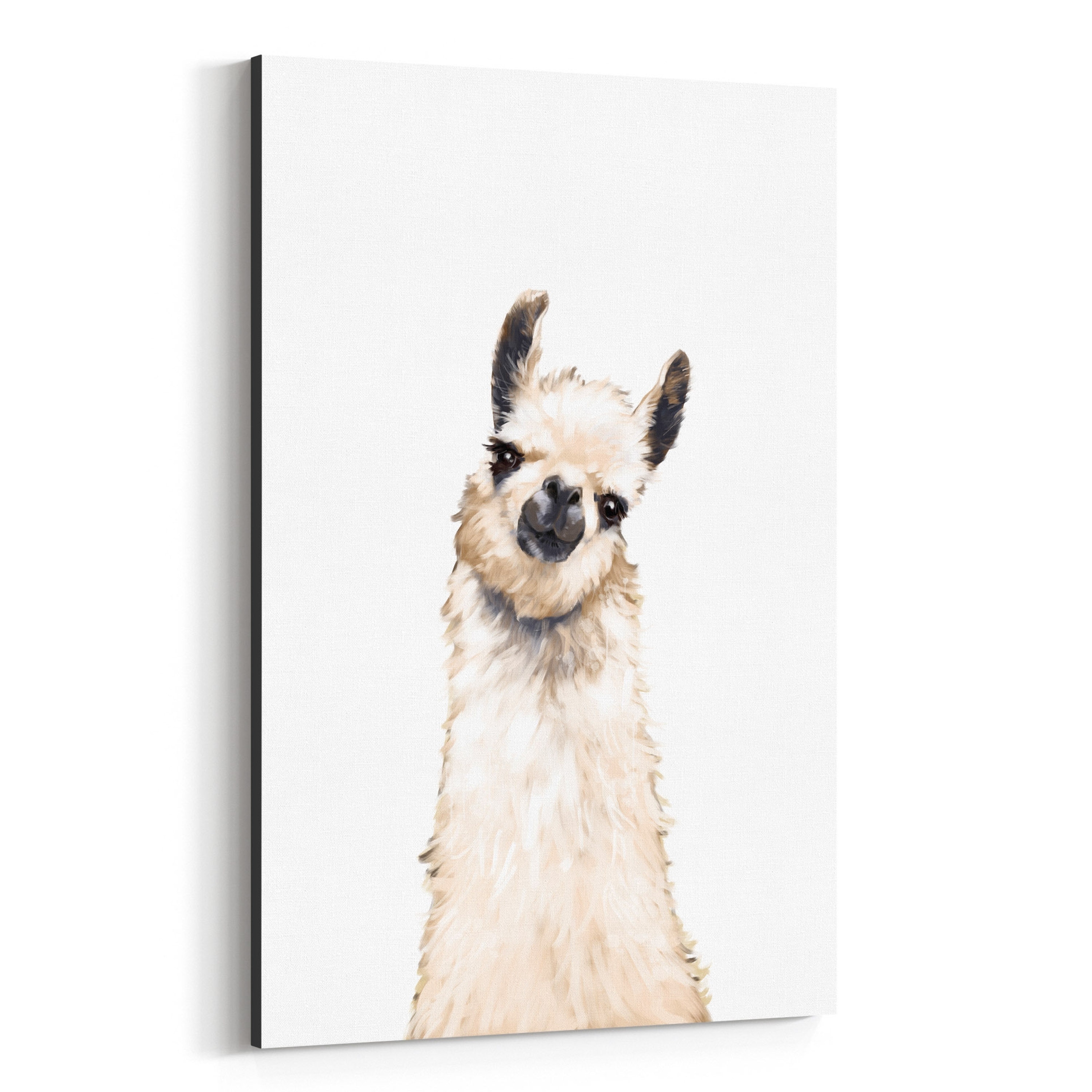 Shop Noir Gallery Cute Baby Llama Peekaboo Animal Canvas Wall Art Print Overstock 27435498