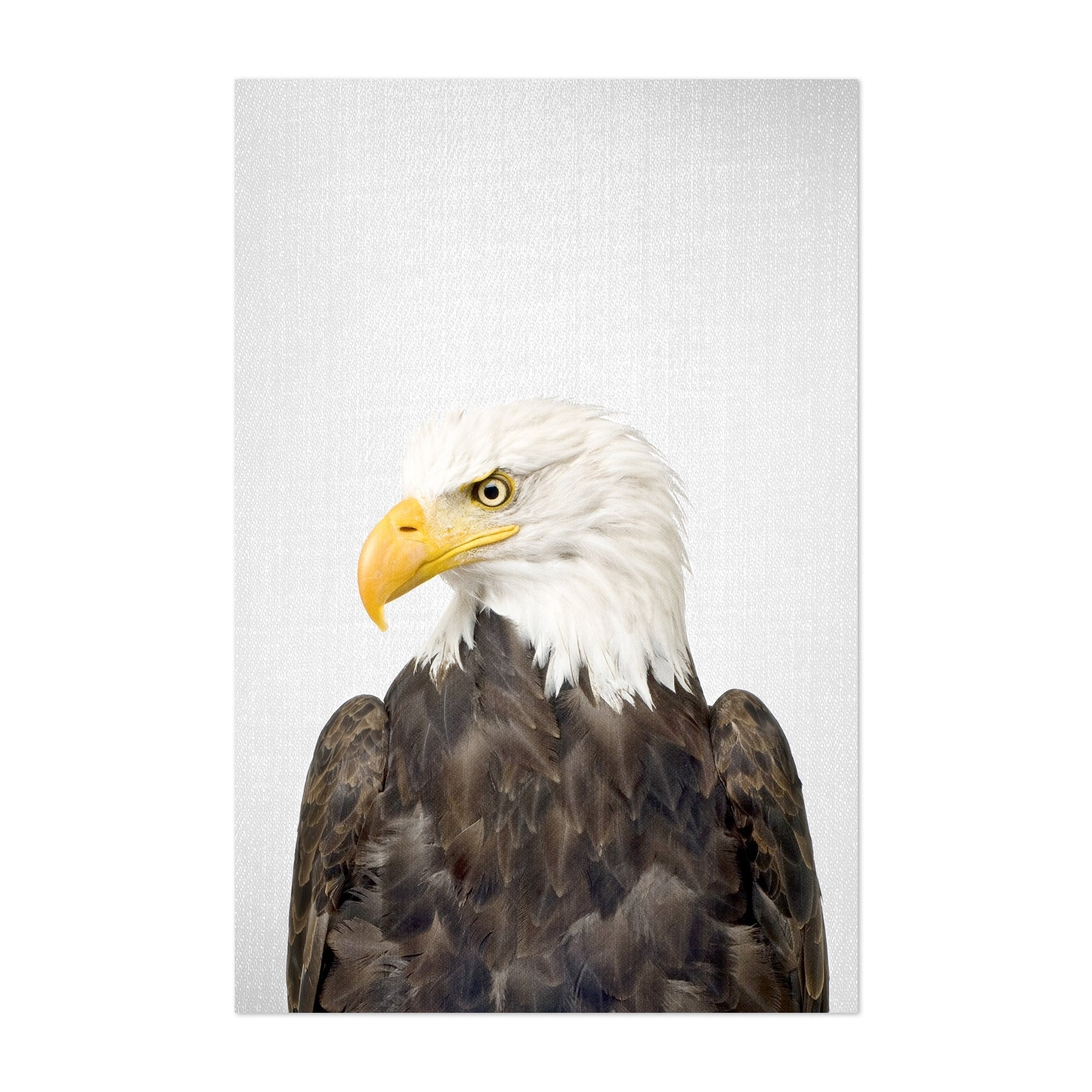 Shop Noir Gallery American Bald Eagle Patriot Bird Unframed Art