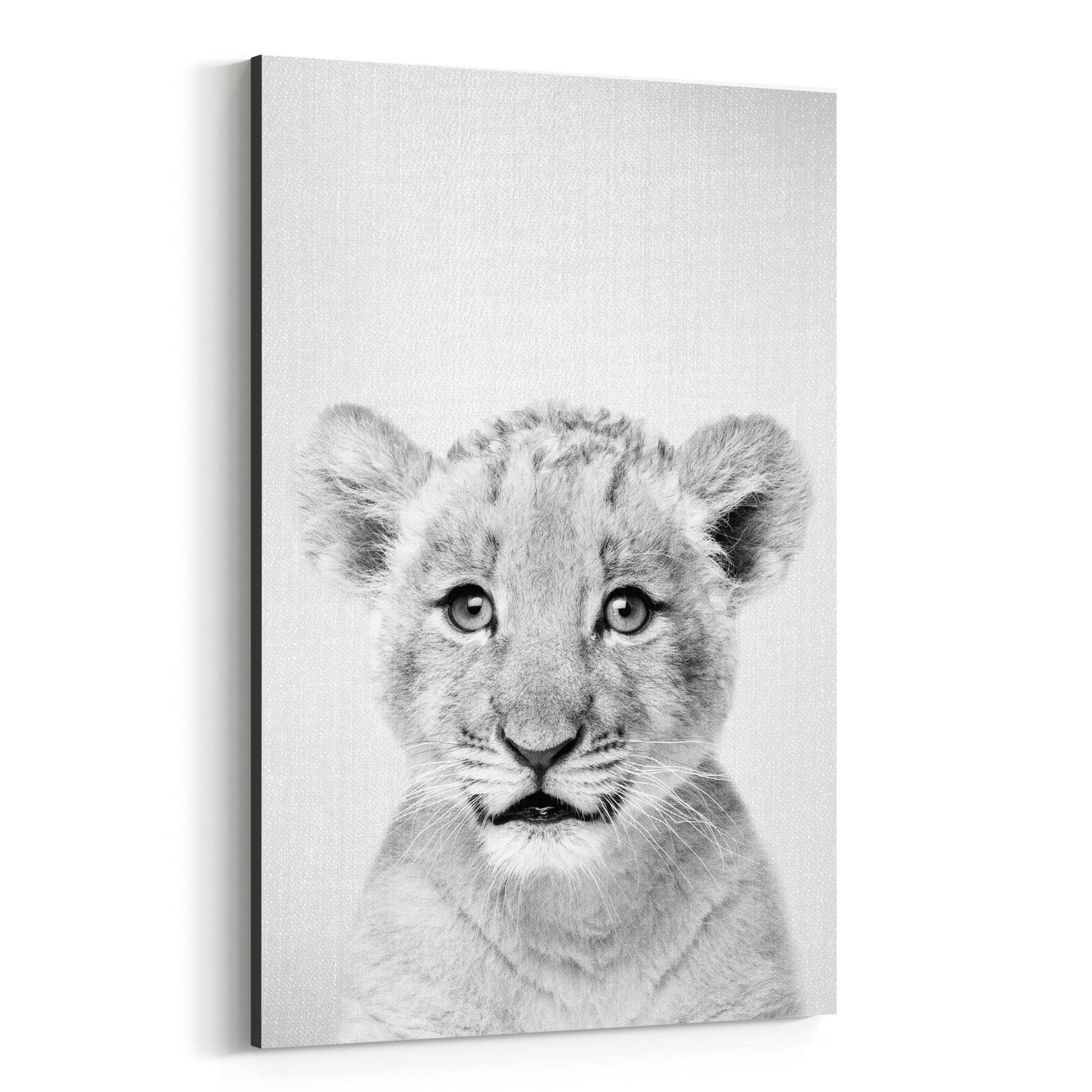 Noir Gallery Cute Baby Lion Peekaboo Animal Canvas Wall Art Print Overstock