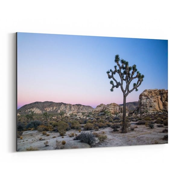 Shop Noir Gallery Joshua Tree California Desert Canvas Wall Art Print Overstock 27448848