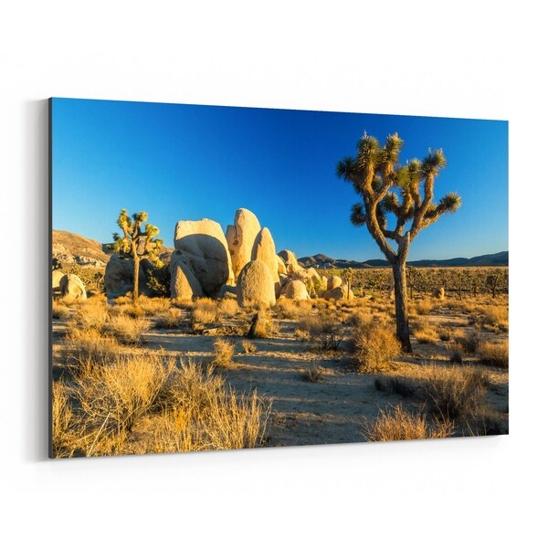 Shop Noir Gallery Joshua Tree California Desert Canvas Wall Art Print