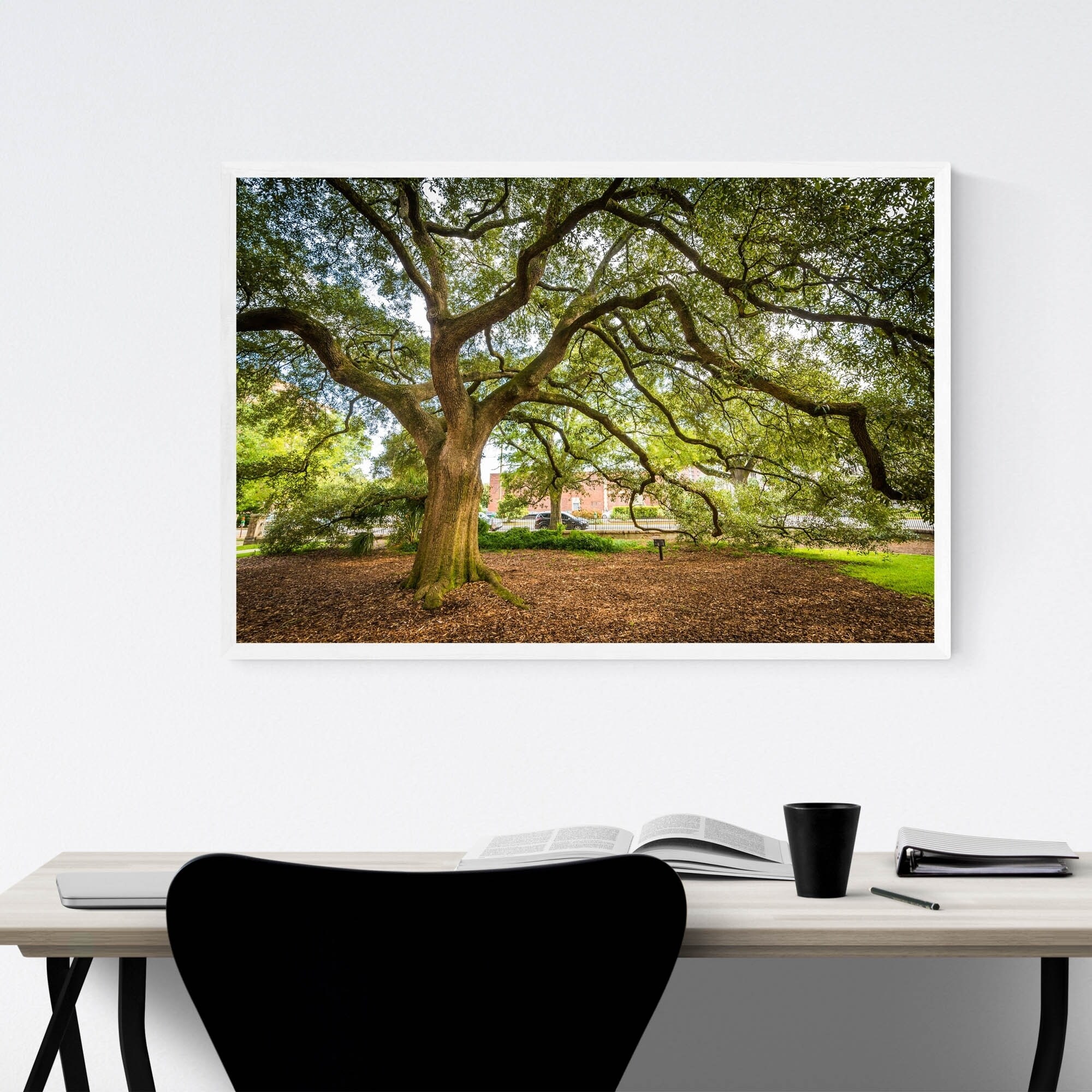 Noir Gallery Columbia South Carolina Oak Tree Framed Art Print