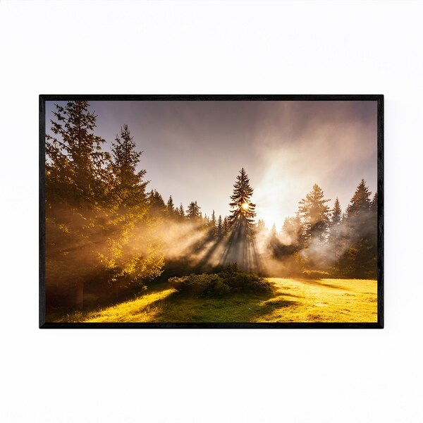 Noir Gallery Batak Bulgaria Pine Trees Sun Framed Art Print