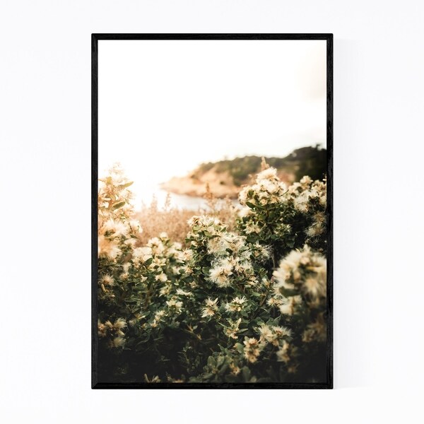Noir Gallery Point Lobos Monterey California Framed Art Print
