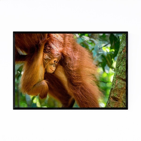 Noir Gallery Orangutan Wildlife Indonesia Framed Art Print