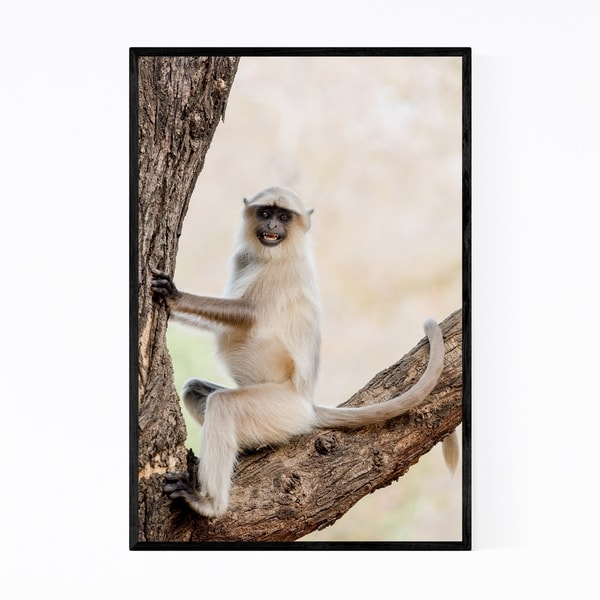Noir Gallery Gray Langur Monkey Wildlife Framed Art Print