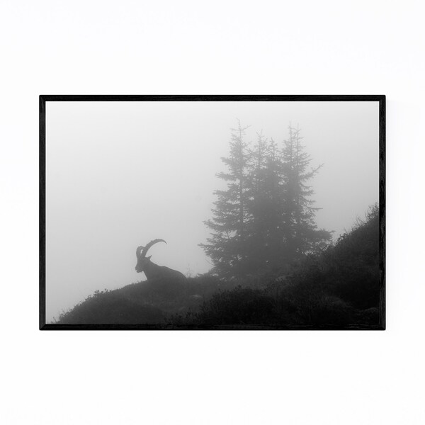Noir Gallery Mountain Goat Swiss Alps Nature Framed Art Print
