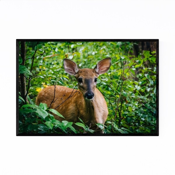 Noir Gallery Shenandoah Forest Deer Animal Framed Art Print
