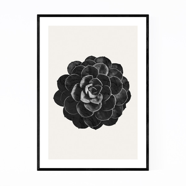 Noir Gallery Succulent Plant Botanical Framed Art Print