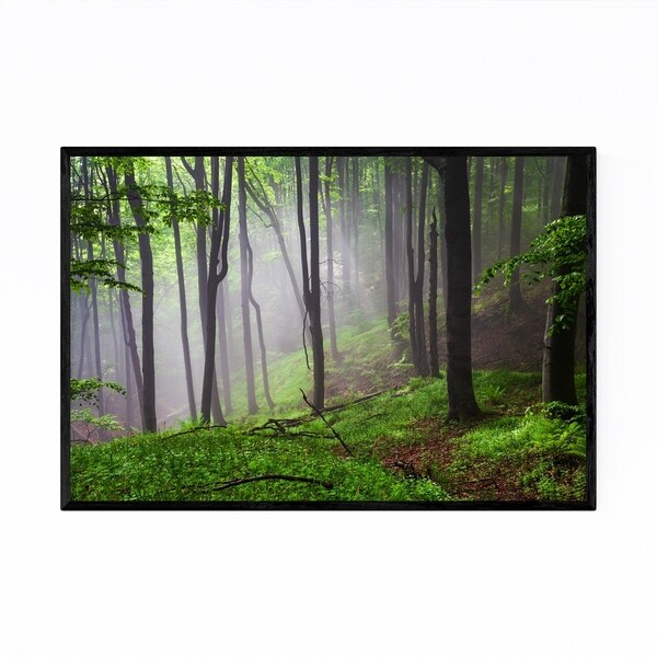 Noir Gallery Bulgaria Spring Forest Nature Framed Art Print