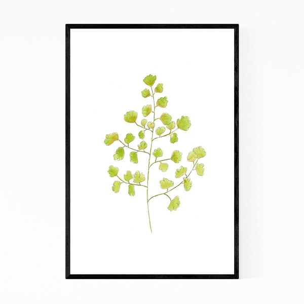 Noir Gallery Culandrillo Floral Botanical Framed Art Print
