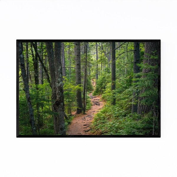 Noir Gallery White Mountains Trail in Woods Framed Art Print