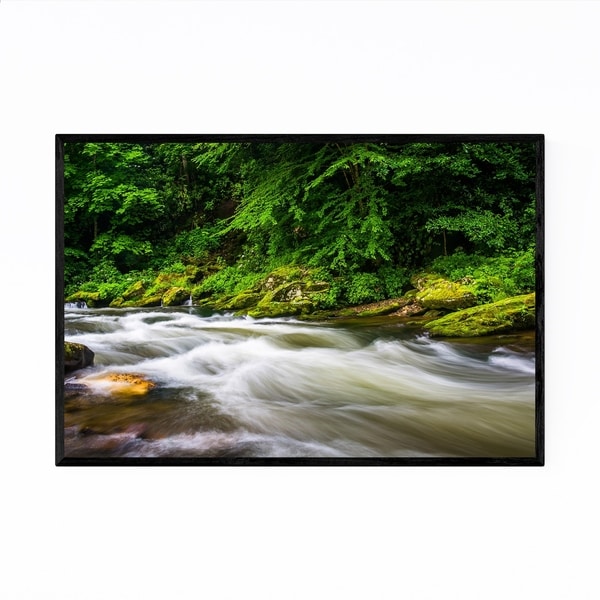 Noir Gallery Smoky Mountains Creek Forest Framed Art Print
