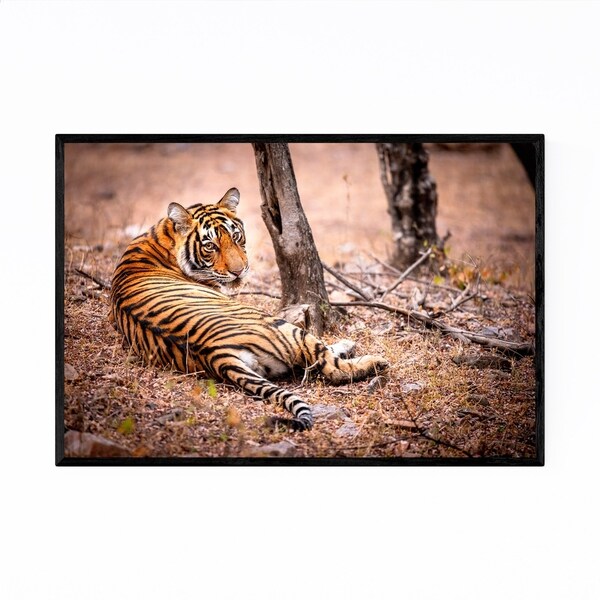 Noir Gallery Tiger Wildlife Animal India Framed Art Print
