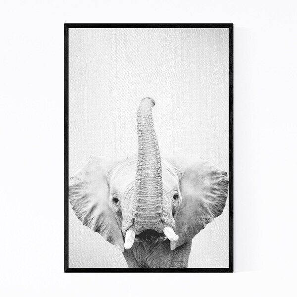 Noir Gallery African Elephant Peekaboo Animal Framed Art Print