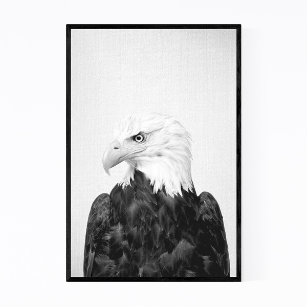 Noir Gallery American Bald Eagle Patriot Bird Framed Art Print