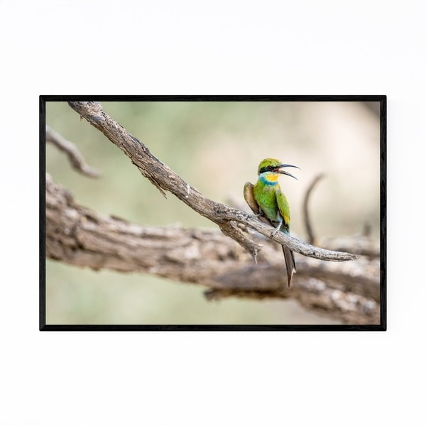 Noir Gallery Bee-Eater Bird Wildlife Africa Framed Art Print