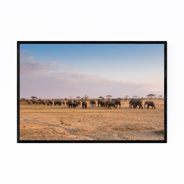 Noir Gallery Amboseli National Park Framed Art Print