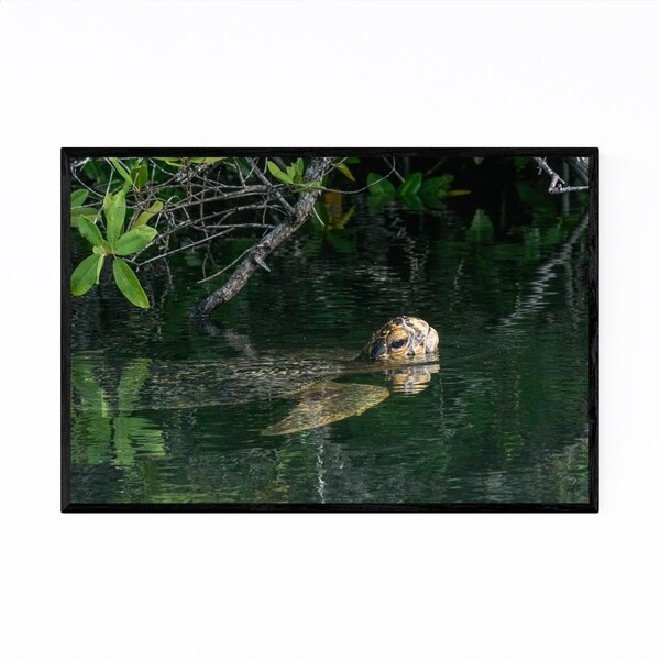 Noir Gallery Sea Turtle Animal Wildlife Framed Art Print