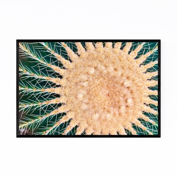 Noir Gallery Cactus Floral Botanical Abstract Framed Art Print