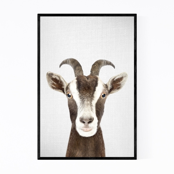 Noir Gallery Goat Nursery Peekaboo Animal Framed Art Print
