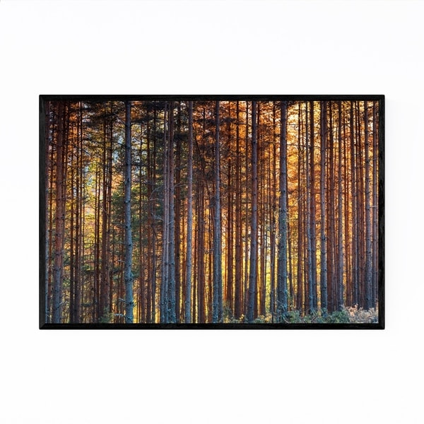 Noir Gallery Bulgaria Forest Landscape Nature Framed Art Print