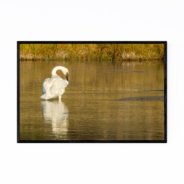 Noir Gallery Yellowstone National Park Swan Framed Art Print