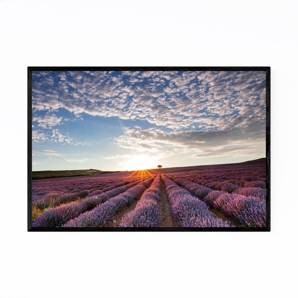 Noir Gallery Bulgaria Lavender Field Rural Framed Art Print