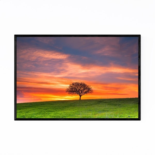 Noir Gallery Veslie Bulgaria Tree in Field Framed Art Print