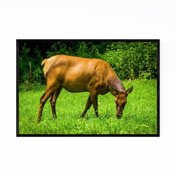 Noir Gallery Great Smoky Mountains Elk Photo Framed Art Print
