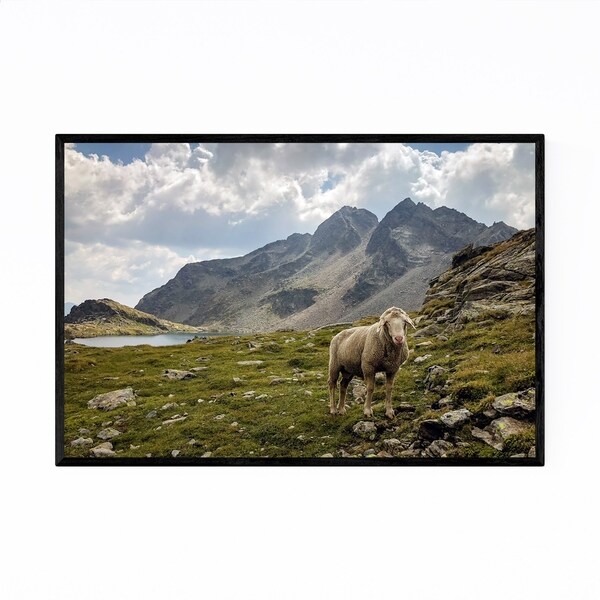 Noir Gallery Sheep Austria Mountains Nature Framed Art Print