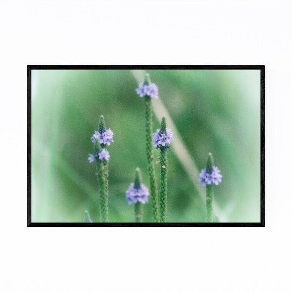 Noir Gallery Woolly Verbena Plant Floral Framed Art Print