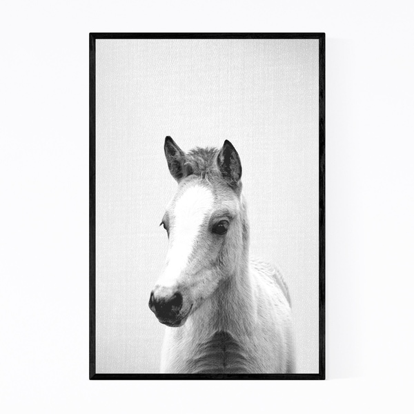 Noir Gallery Cute Baby Pony Peekaboo Animal Framed Art Print