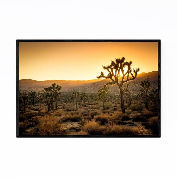 Noir Gallery Joshua Tree California Desert Framed Art Print