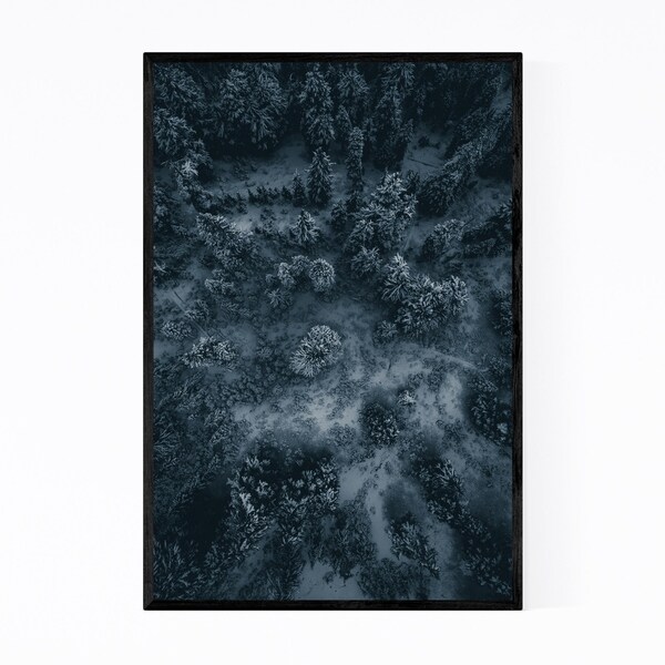 Noir Gallery Snowy Winter Forest Aerial Framed Art Print