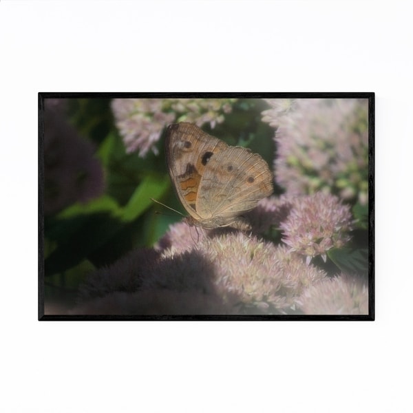 Noir Gallery Buckeye Butterfly Animal Nature Framed Art Print