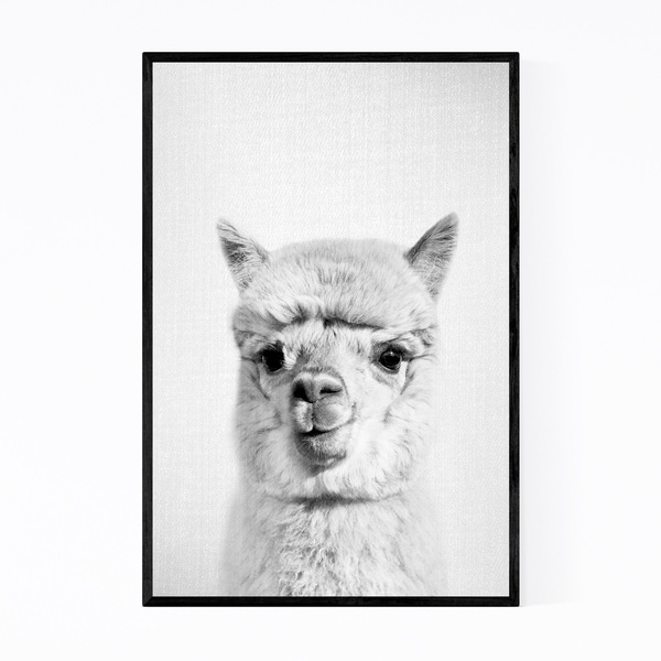 Noir Gallery Nursery Alpaca Peekaboo Animal Framed Art Print