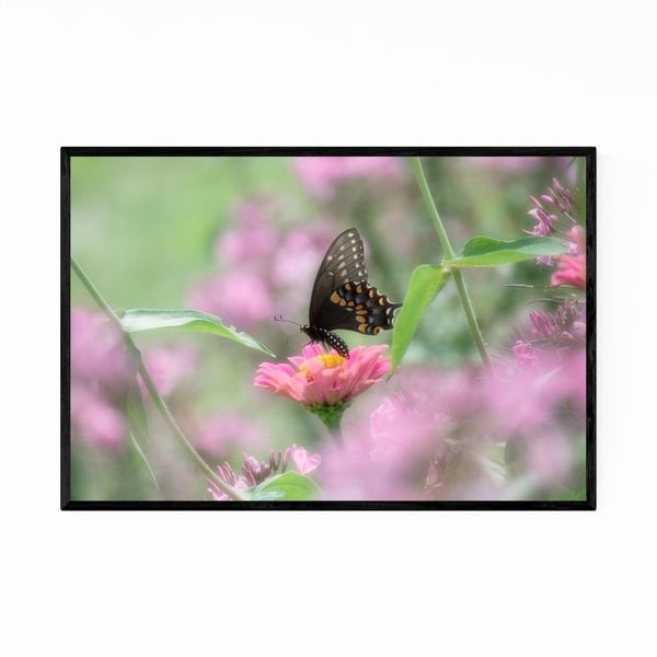 Noir Gallery Swallowtail Butterfly Animal Framed Art Print