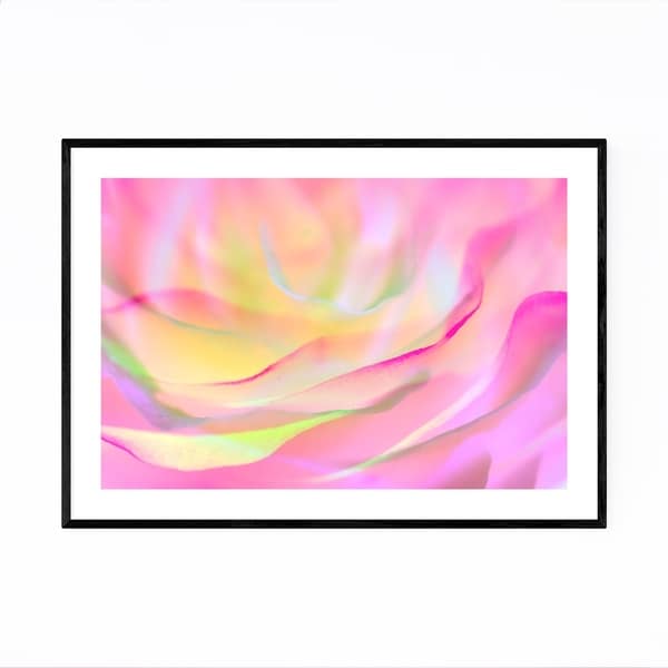 Noir Gallery Abstract Rose Digital Art Floral Framed Art Print