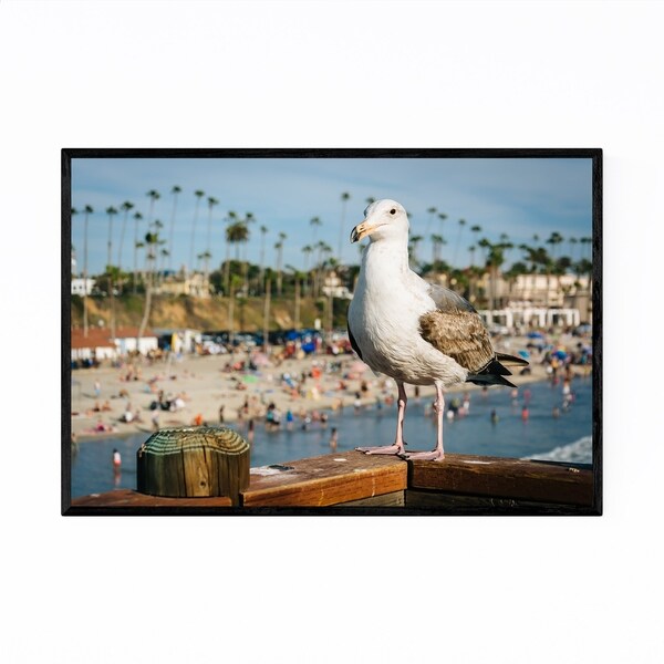 Noir Gallery Oceanside California Seagull Framed Art Print
