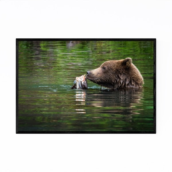 Noir Gallery Grizzly Bear Wildlife Alaska Framed Art Print