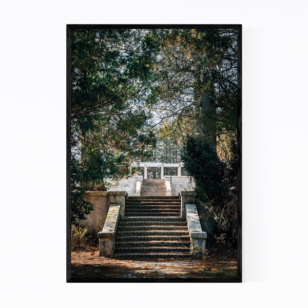 Noir Gallery Virginia Swannanoa Palace Framed Art Print