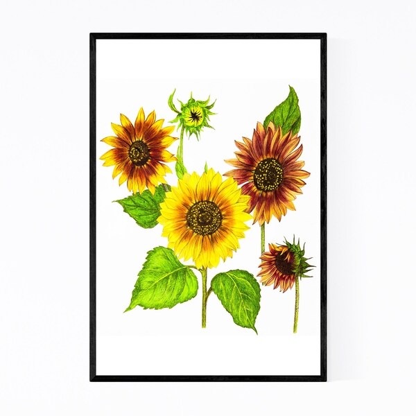 Noir Gallery Sunflowers Floral Botanical Framed Art Print