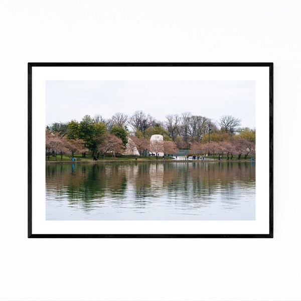 Noir Gallery Washington DC Cherry Blossoms Framed Art Print