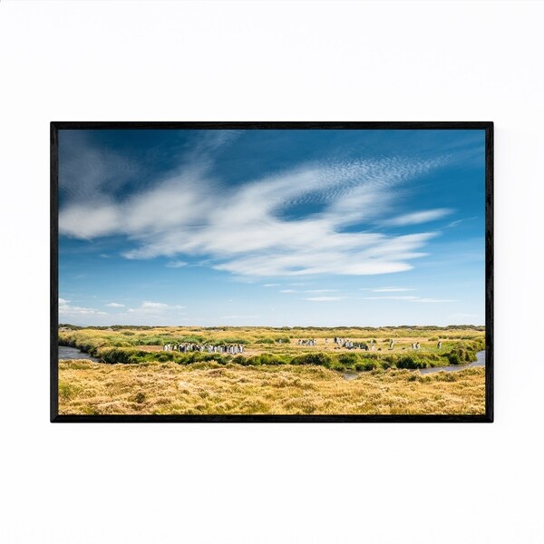 Noir Gallery Pengunins Animal Wildlife Chile Framed Art Print