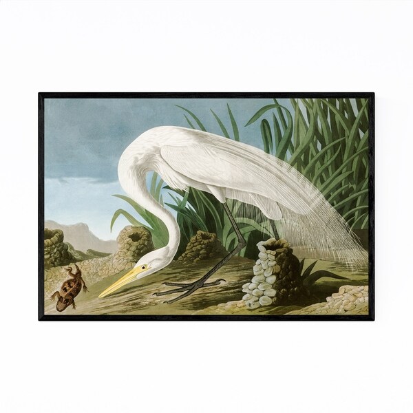 Noir Gallery White Heron Bird Vintage Nature Framed Art Print