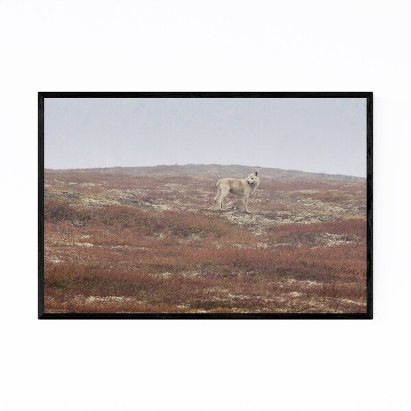 Noir Gallery Wild Wolf Animal Yukon Canada Framed Art Print