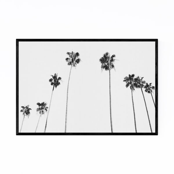 Noir Gallery California Palm Tree Photography Framed Art Print